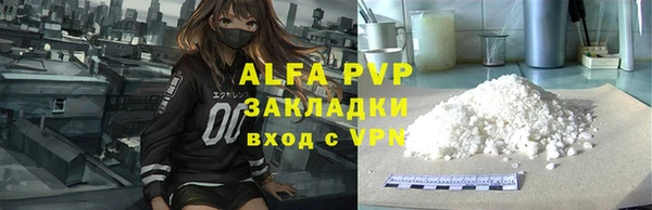 a pvp Бородино